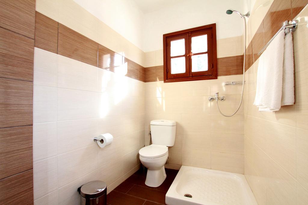 Traditional Apartments Alexandra Meyísti Cameră foto